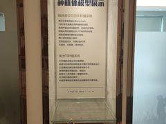-柏乐口腔(南宁总院)