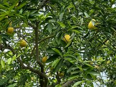 -国家植物园南园