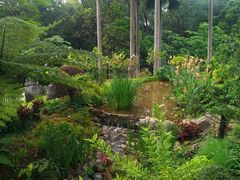 -东莞植物园