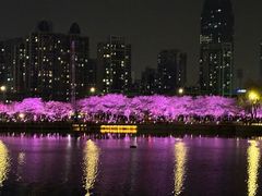 -西北湖绿化广场