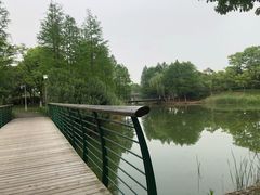 -尚贤河湿地