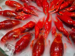 冰镇龙虾-拙味兄弟·活龙虾·旗舰店(环城西路店)