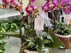 -金科花卉市场