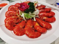 -千灯盛汇·头牌粤菜(致越优城店)