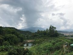 -天强农家菜馆
