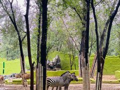 -北京野生动物园