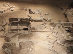 -洛阳周王城天子驾六博物馆