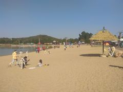 -上海月湖雕塑公园