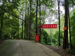 -青城山