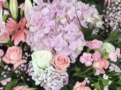 -呷哺呷哺(融创茂店)