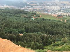 -长虫山生态公园风景林