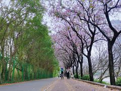 -南丰汇(新港东路店)