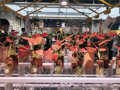 -KKV(深圳宏发大仟里店)