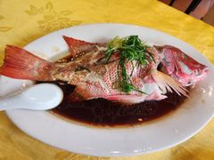 -老字号蛇口德记烧腊饭店·海鲜加工