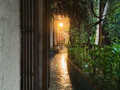 -广州市帽峰山景区