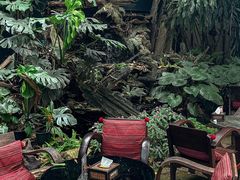 -Fern Forest Cafe