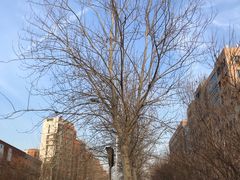 -桔子酒店(天津五大道店)