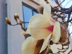 -利群海琴购物广场(商丘路店)