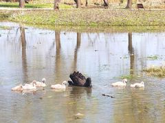 -长兴太湖图影湿地文化园