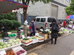 -江汉区姑嫂树菜市场