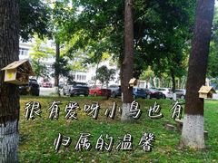 -四川大学(望江校区)