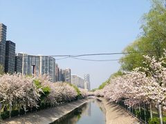 -元大都城垣遗址公园