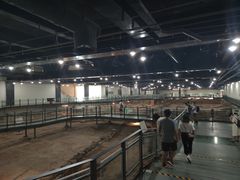 -南越王博物院(王宫展区)