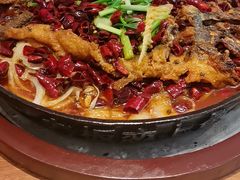 -老板恋上鱼(恒隆广场店)