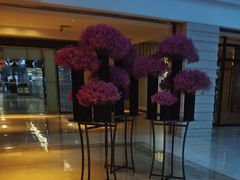-上海中航虹桥机场泊悦酒店