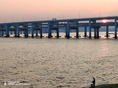 -星海湾跨海大桥