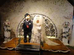 -济州岛泰迪熊博物馆