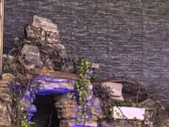 -明日世界密室轰趴·剧本桌游·箭馆团建(国贸店)