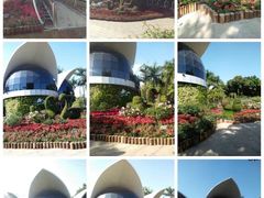 -人民公园(罗湖区)