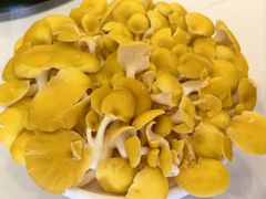 -朴小妹人参鸡汤火锅(长白山万达店)