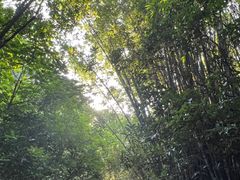-高榜山景区