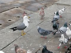 -星海广场