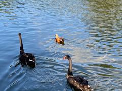 -泉州海丝野生动物世界