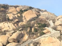 -洋山深水港