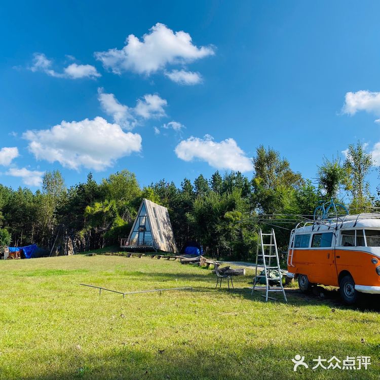 长春又一宝藏拍照地 沿路都是花海农家乐🌹