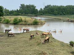 -溱湖国家湿地公园