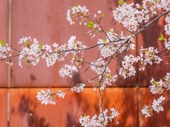 -龙美术馆(西岸馆)