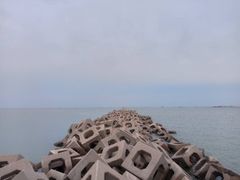 -东疆建设开发纪念公园