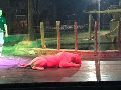 -清迈夜间动物园