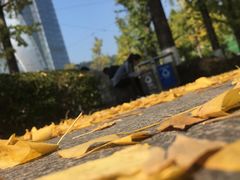 -百林公园-两江幸福广场