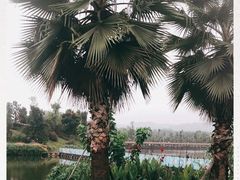 -枫香湖儿童公园
