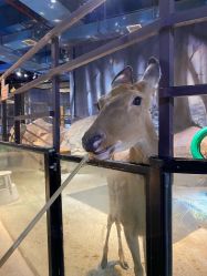 -酷嗒动物文化乐园(cutezoo西溪乐天城店)