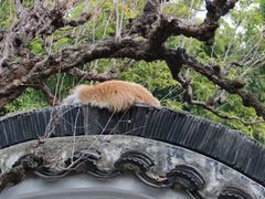 -光裕书厅·评弹茶馆·剧场(观前街店)