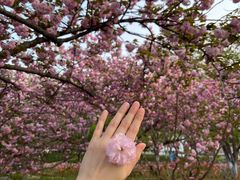 -白塘生态植物园
