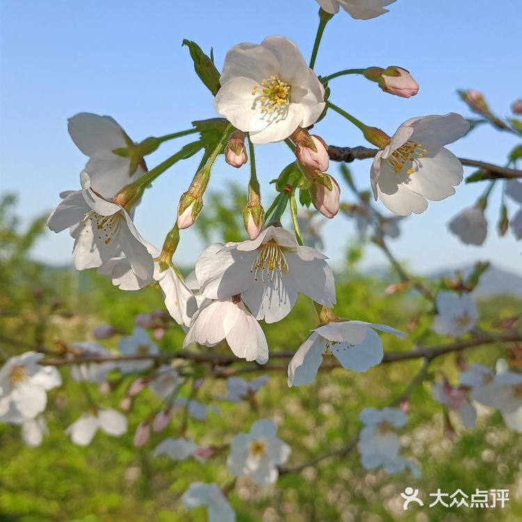 趁着蓝天去就对了