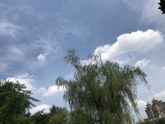 -新虹桥中心花园